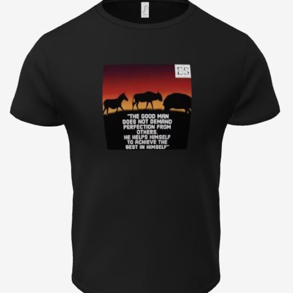 t-shirt eba salomon noir 7