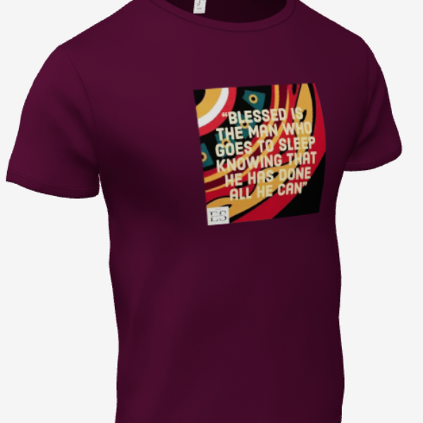 T-shirt eba Salomon bordeau 2