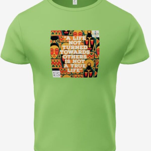 t-shirt eba salomon vert clair