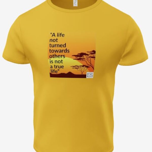 tshirt eba salomon jaune 15